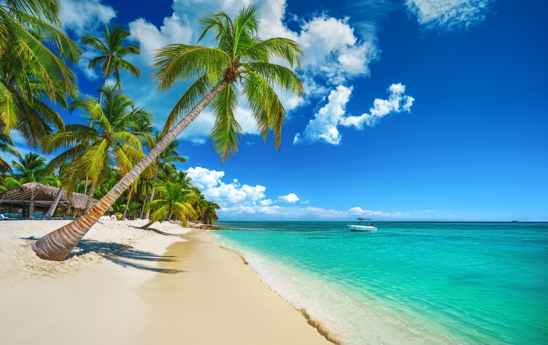 Caribe